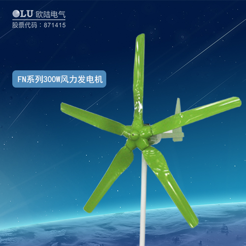 FN系列300W風力發(fā)電機