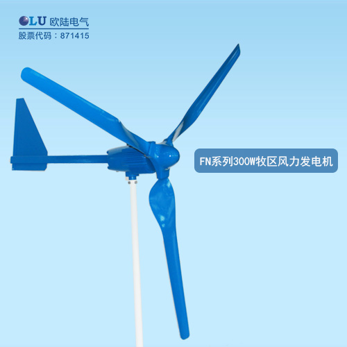 FN系列300W牧區(qū)風(fēng)力發(fā)電機(jī)